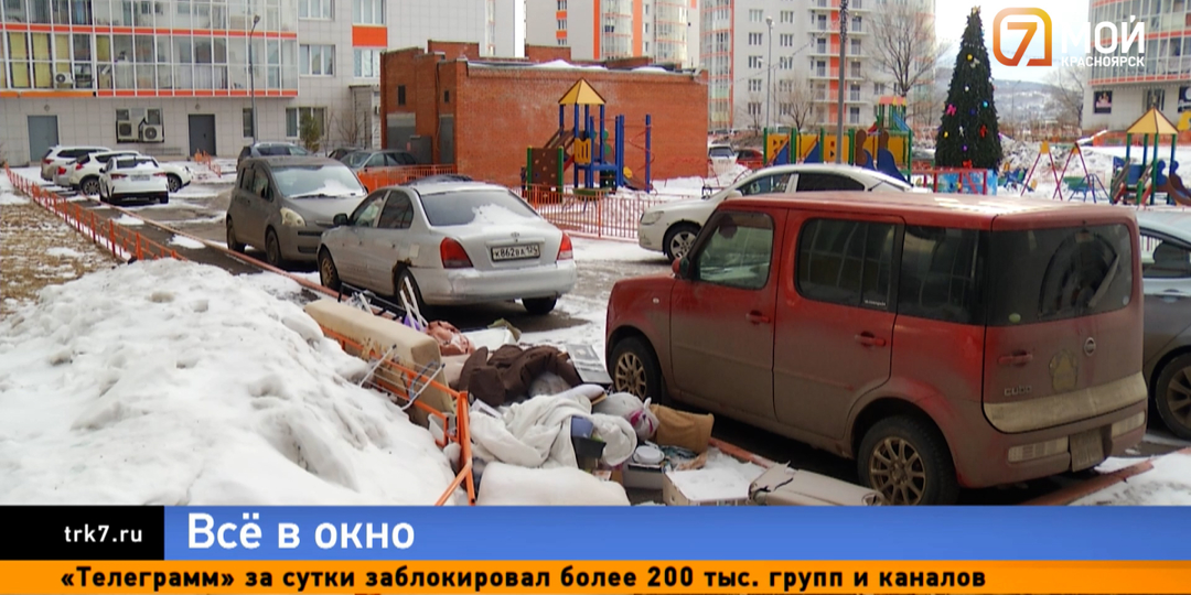 Жительница Красноярска выбросила с 14-го этажа питомцев и мебель