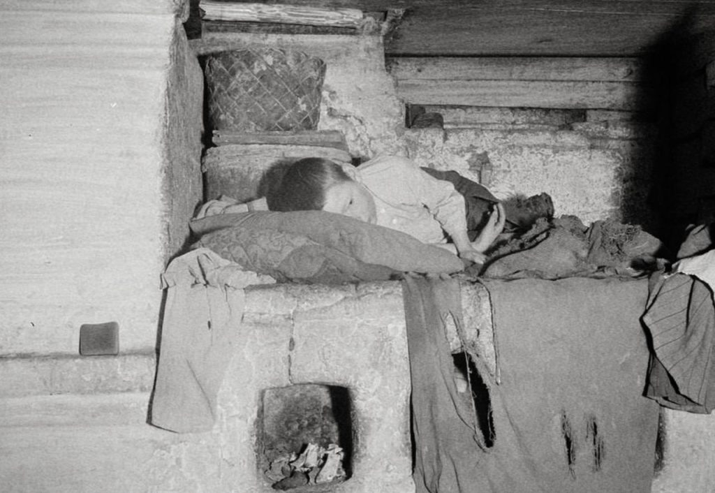 Фото из открытых источников 