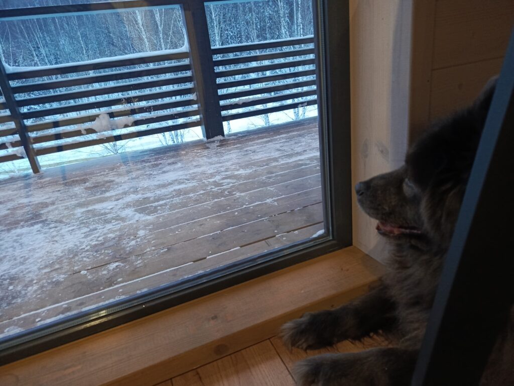    Фото: В курсе.ру