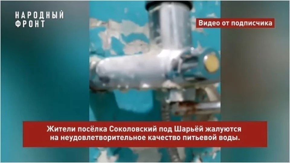    Фото: Народный фронт Костромская область