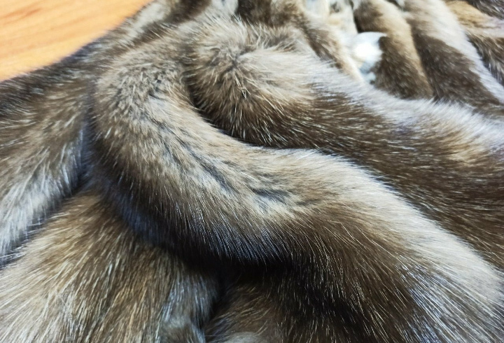 фото: пресс-служба Северо-Западного межрегионального управления Россельхознадзора