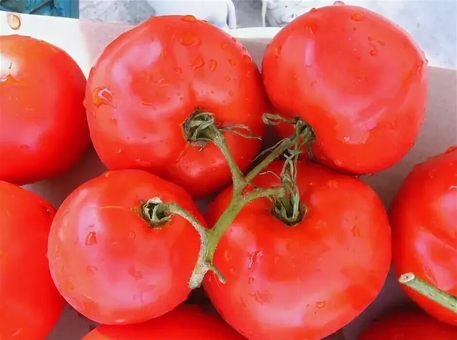 Фото из сети