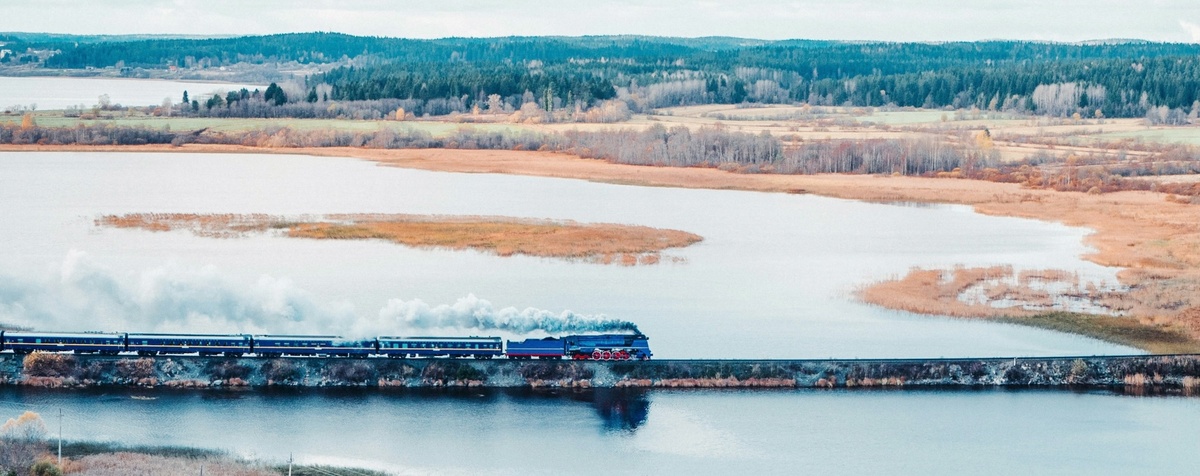  @Evgenii Zolotarev/Unsplash