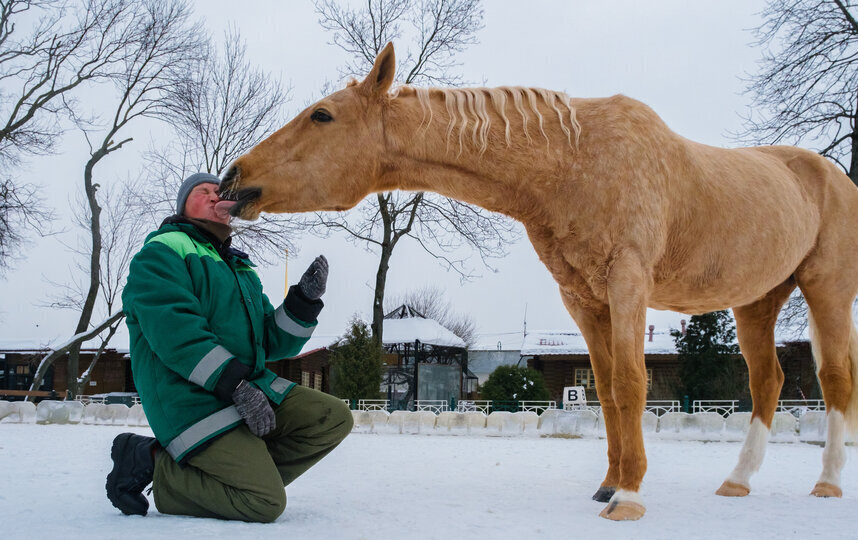    Пенелопа и инструктор Анастасия Кряжева.Алена Бобрович