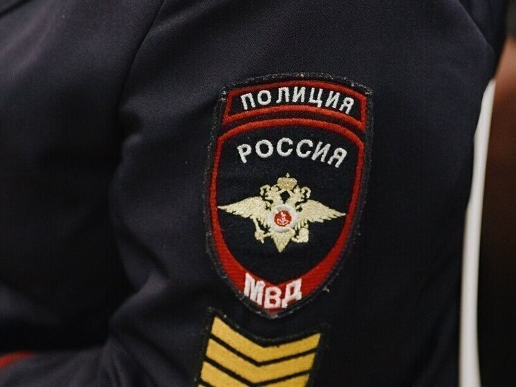     Фото: https://58.мвд.рф/