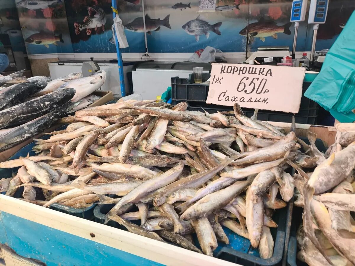    Фото: primamedia.ru Наталья