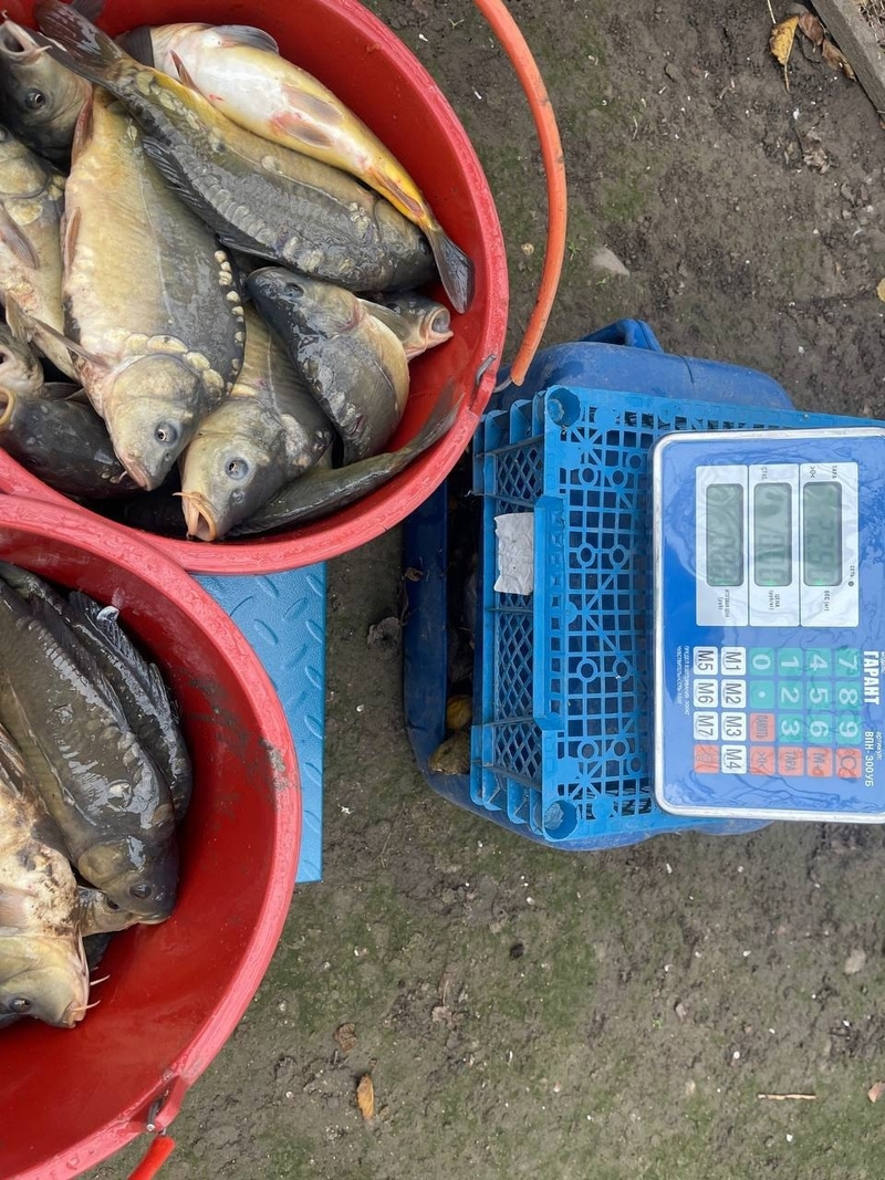      Фото: Пресс-служба полиции