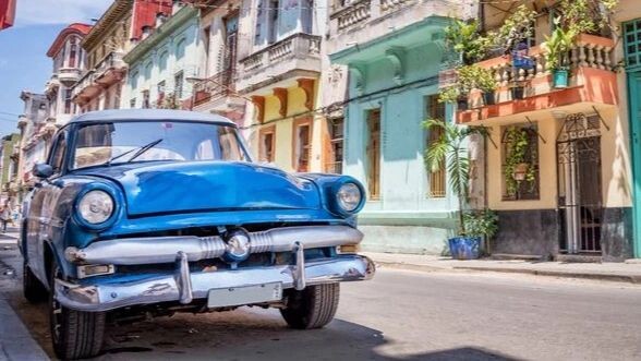    Фото: Delpixel/Shutterstock/Fotodom