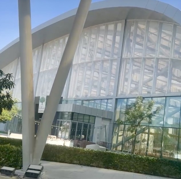 Все фото в статье авторские