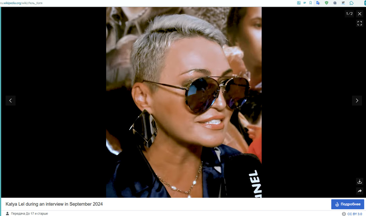    Скриншот: Wikipedia