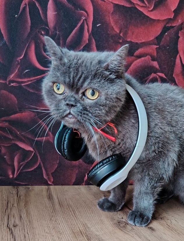 Оператор, когда к нему прорвался клиент.