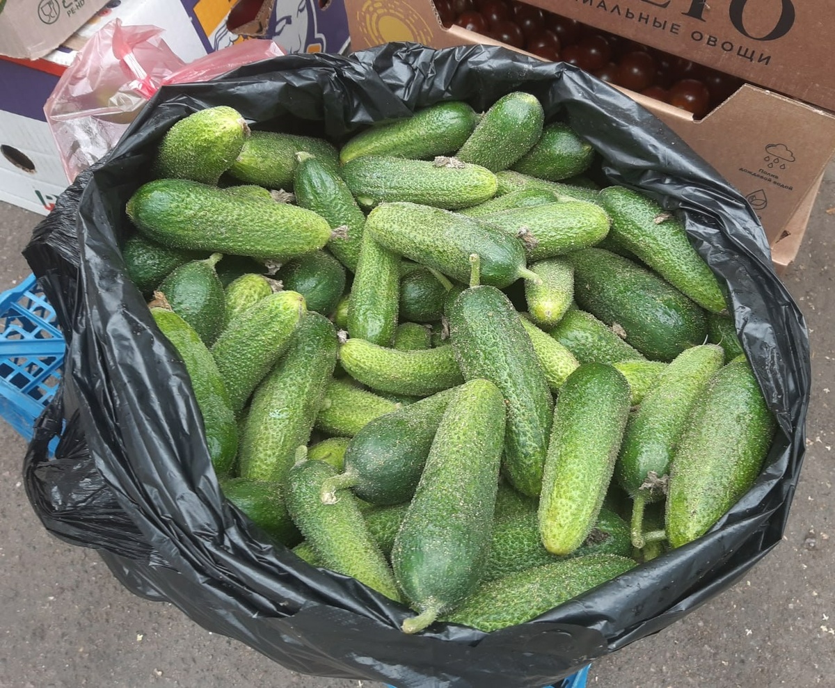     Фото: "МК в Питере"