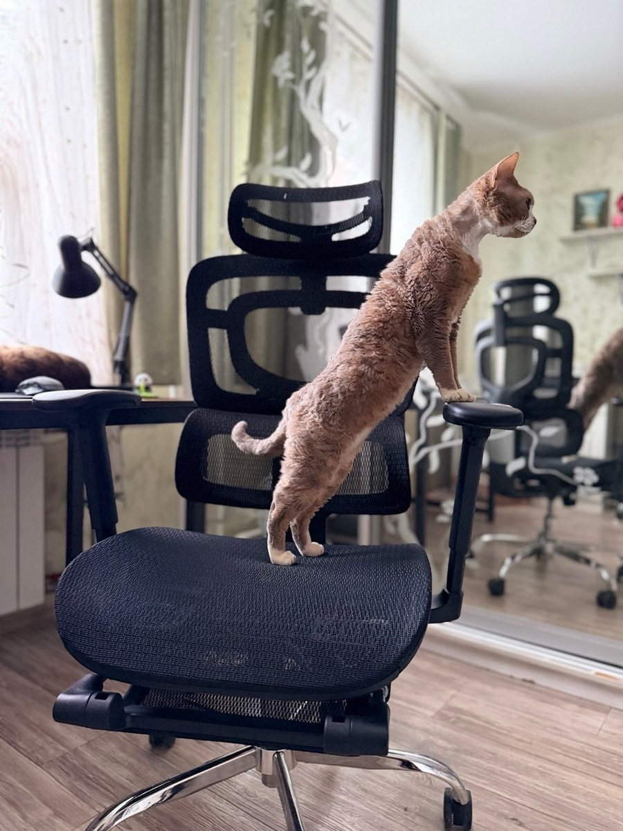 
Но, как и любую новую вещь, первым его протестировал не я.