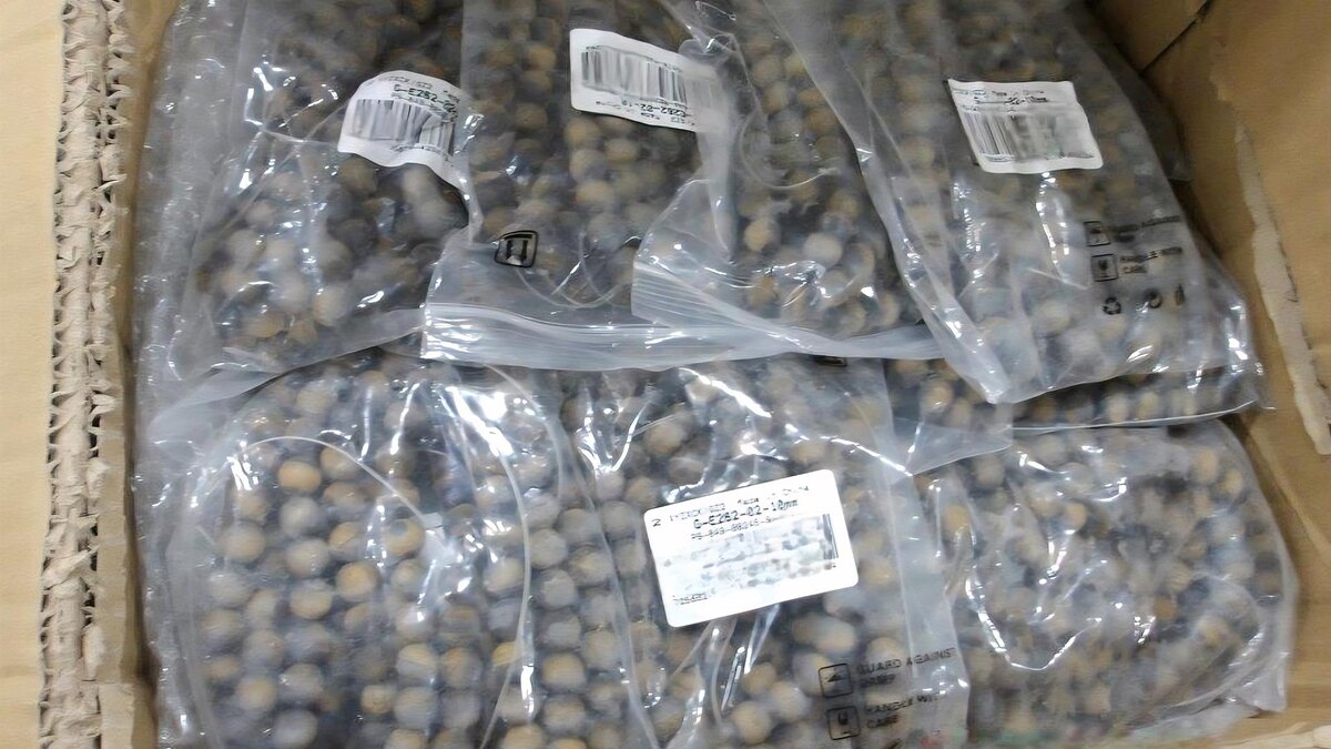    Фото: ФТС России