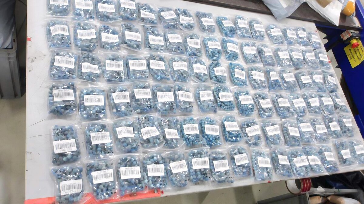    Фото: ФТС России