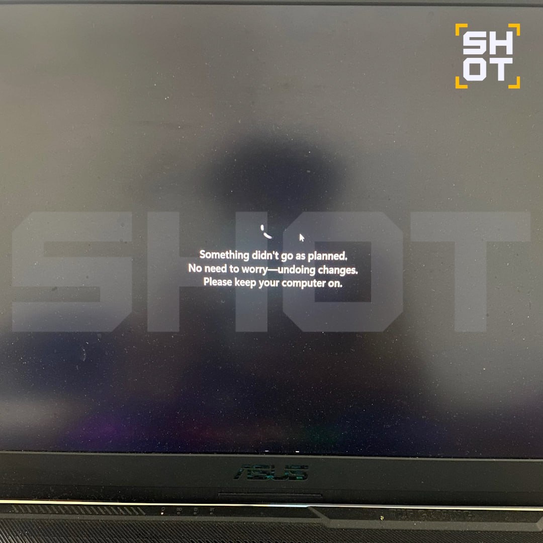 Фото: Shot  📷
