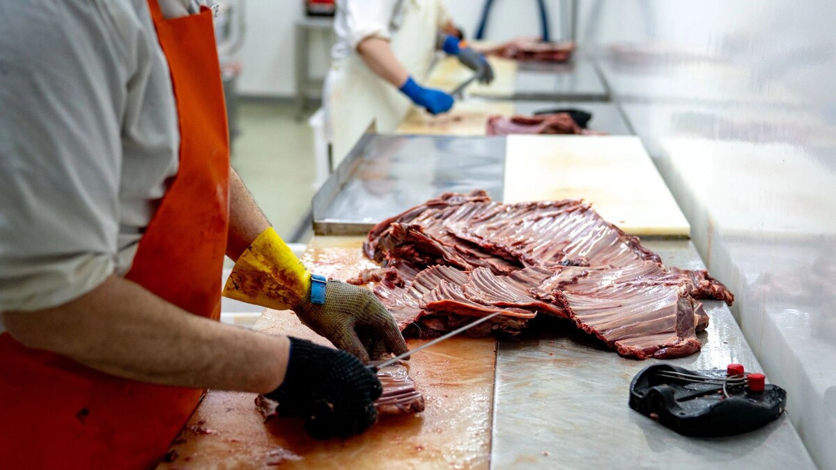    Мясо оленя - стратегический продукт Ямала. Фото: Сергей Зубков / "Ямал-Медиа"