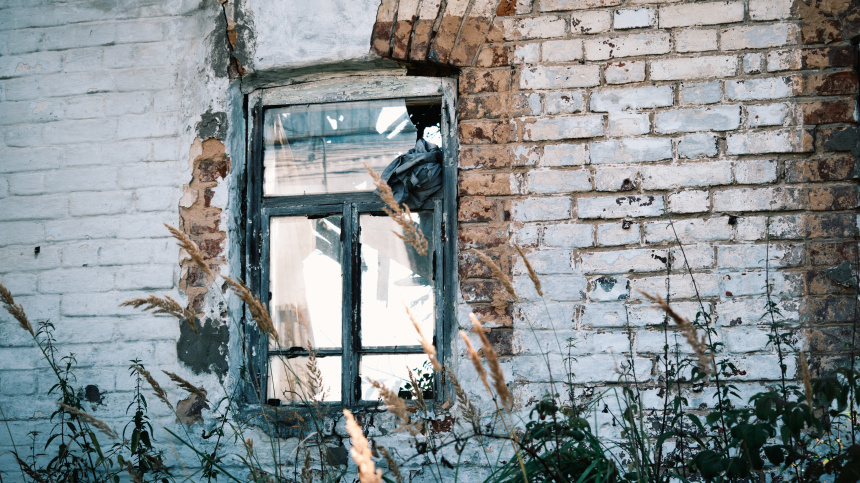    Фото: © Getty Images/invizbk; 5-tv.ru