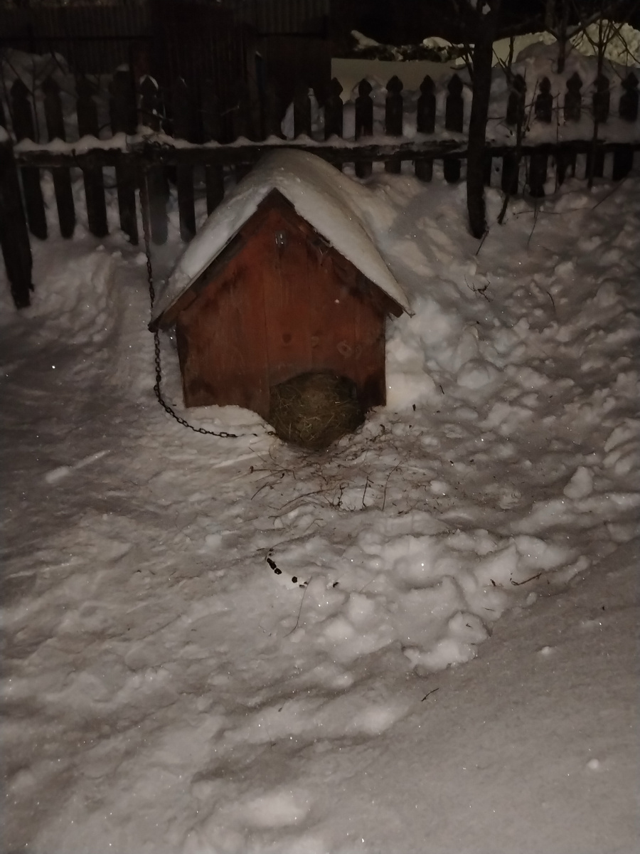 Где-то там внутри Филя. 