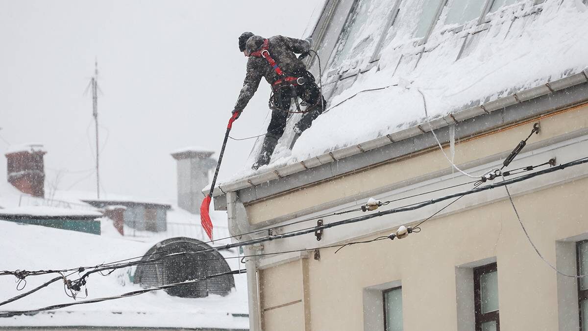    Фото: Ярослав Чингаев / АГН Москва