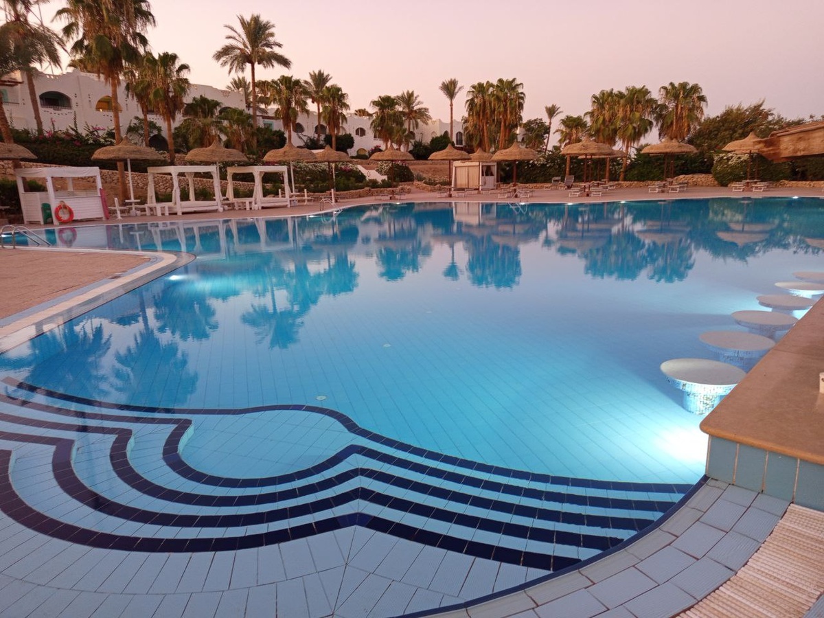 Фото: МК в Новосибирске