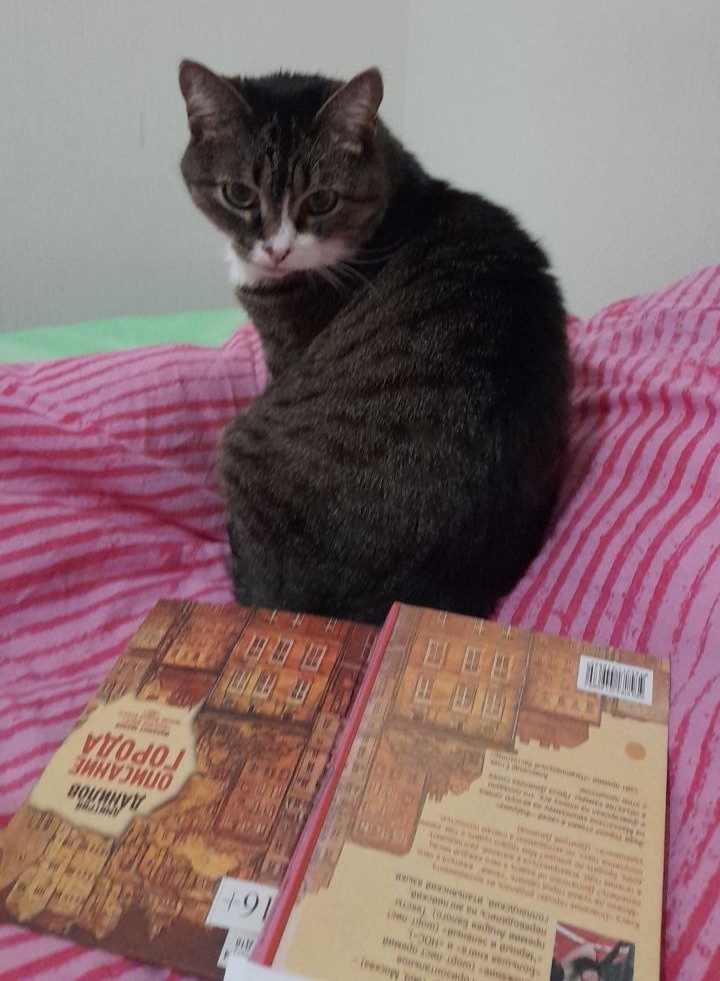 Ваш питомец даже будет читать вам книги, а может вы ему... Вообщем, как договоритесь. 🤝