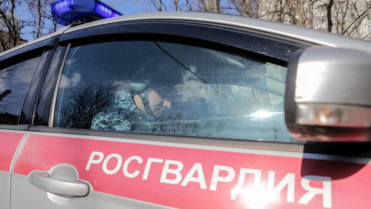    Фото: vm.ru Артем Назаров