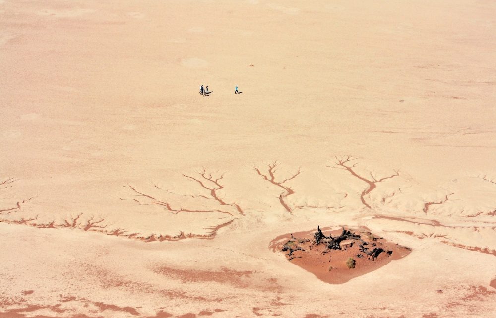    изображение от freepik