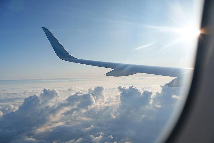 Обложка © Shutterstock / FOTODOM / Alexander Fedosov