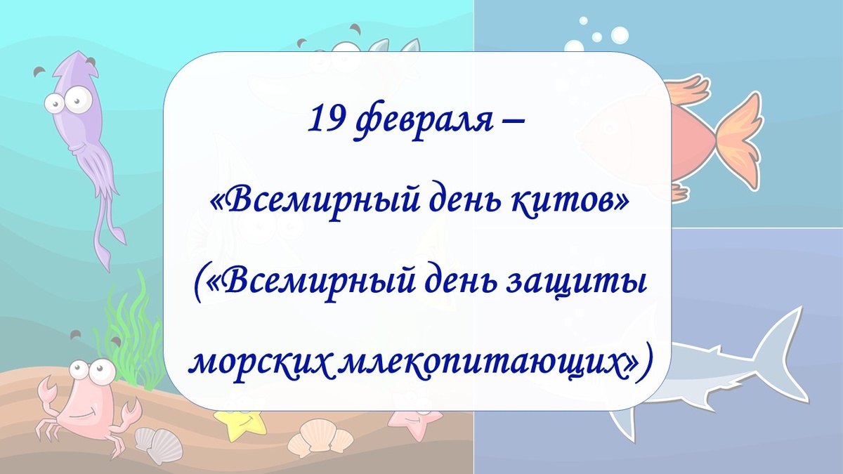 Всемирный день защиты морских млекопитающих.