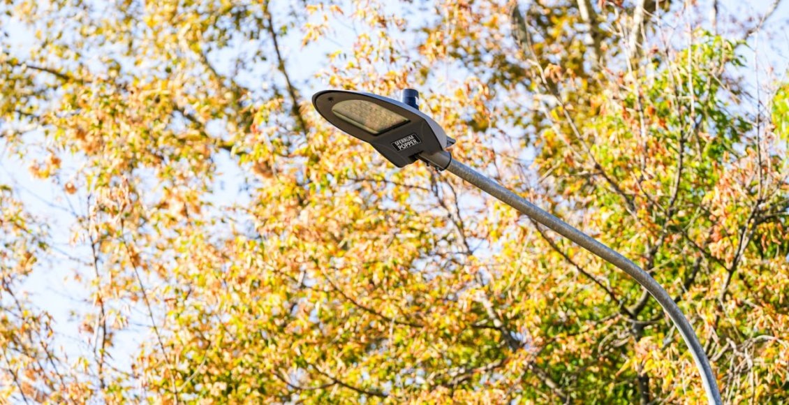    Фото: городское хозяйство Москвы