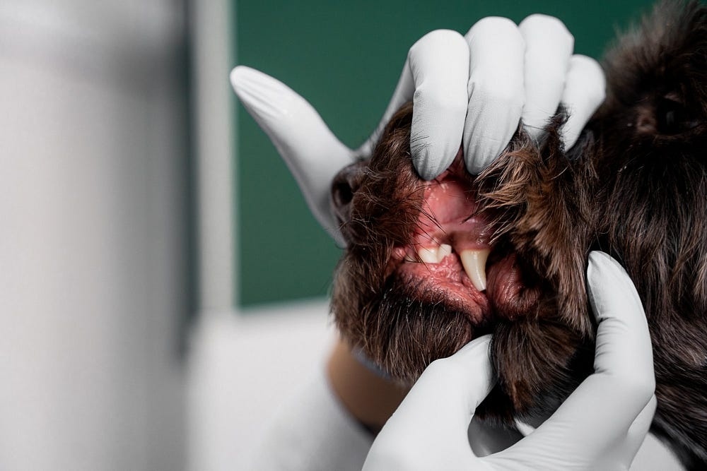 Создать карусель