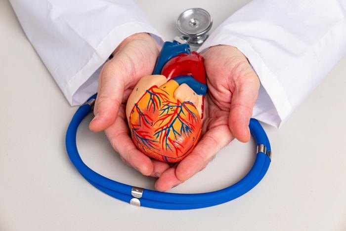 Обложка © Shutterstock / FOTODOM / Tattoboo