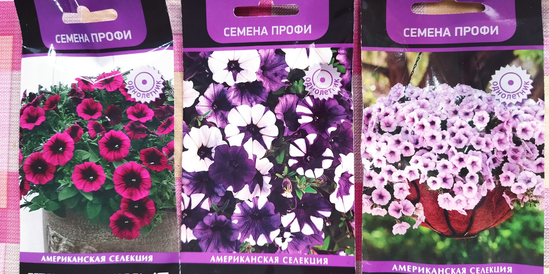 Петунии Шок вейв из семян.Продолжение