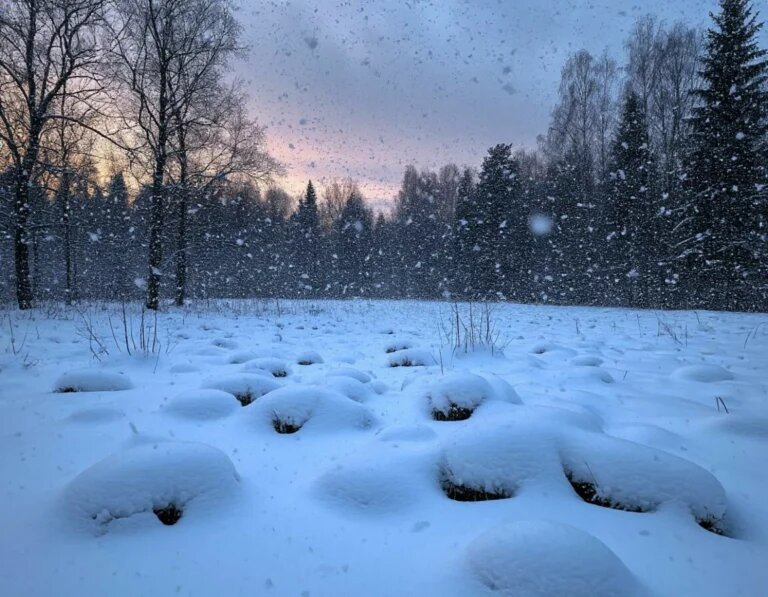    Изображение сгенерировано нейросетью Шедеврум Мария Спиридонова