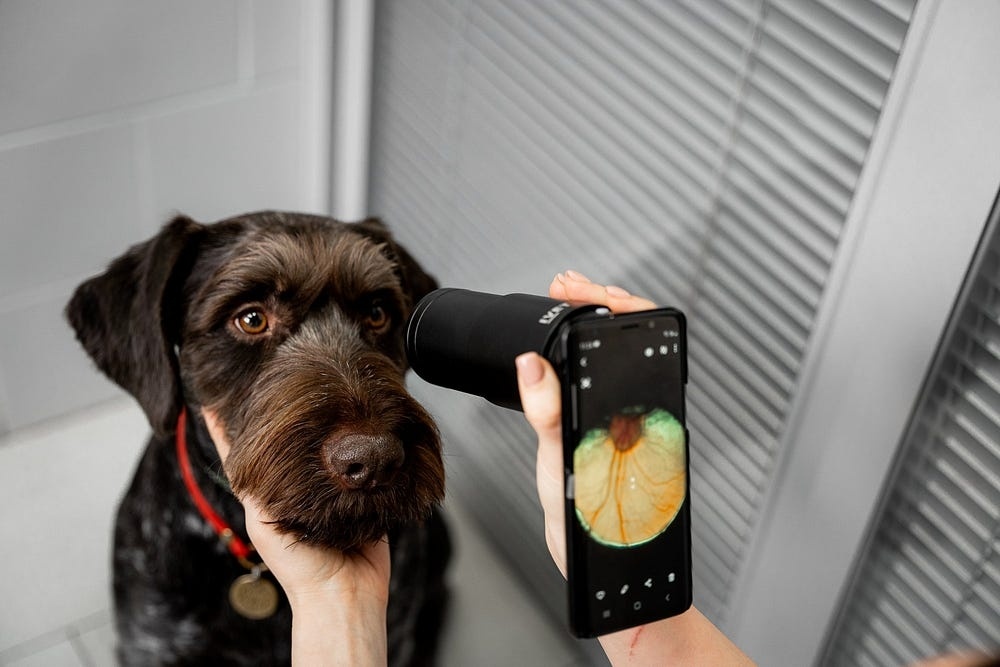 Создать карусель