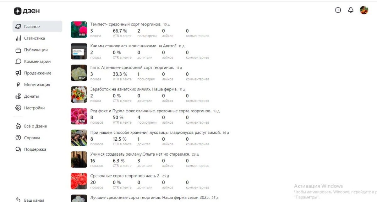 Статистика Дзен