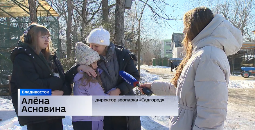    Источник фото: