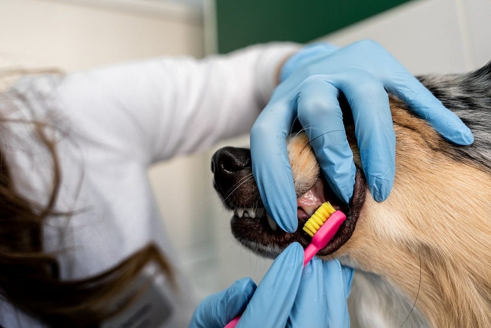 Создать карусель