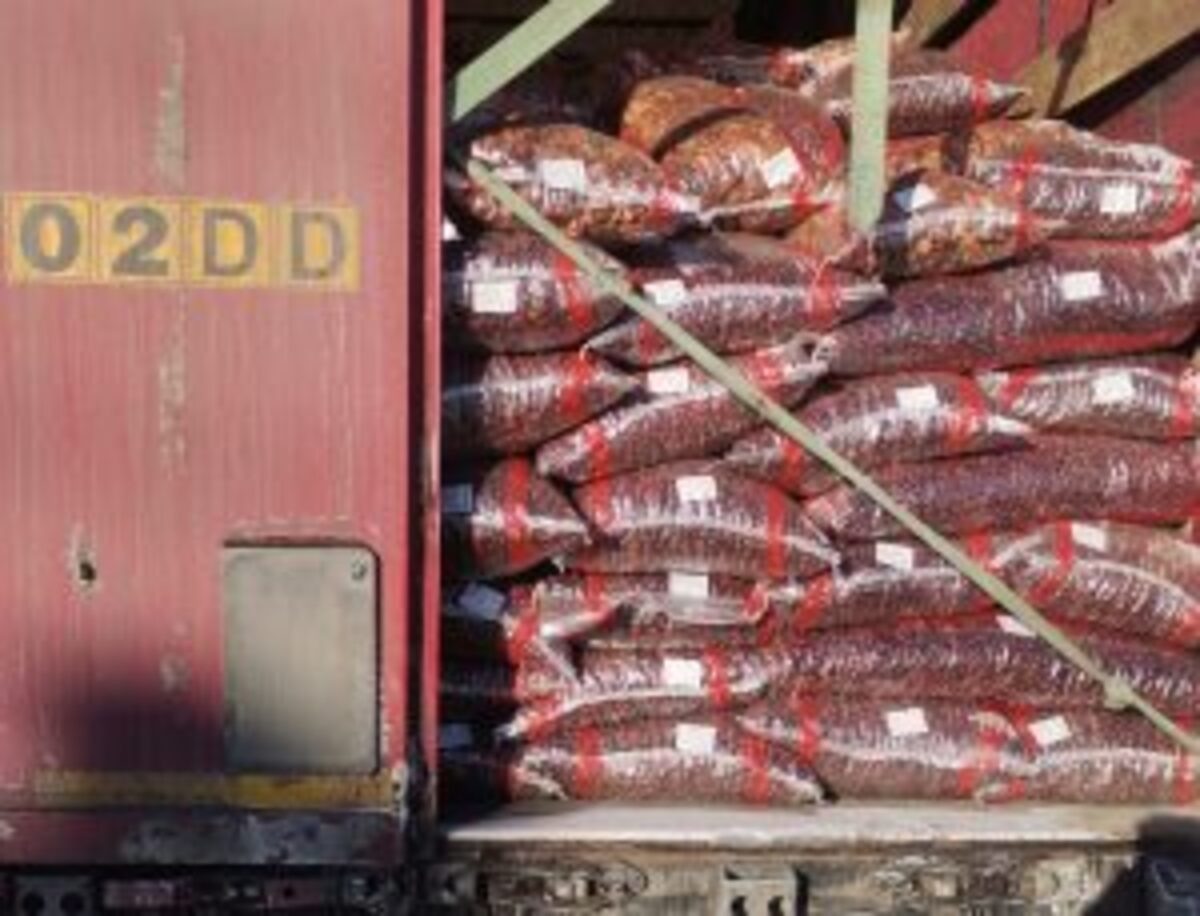 Фото: пресс-служба Уральского межрегионального управления Россельхознадзора