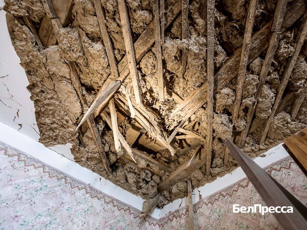     Фото: Павел Колядин (архив)