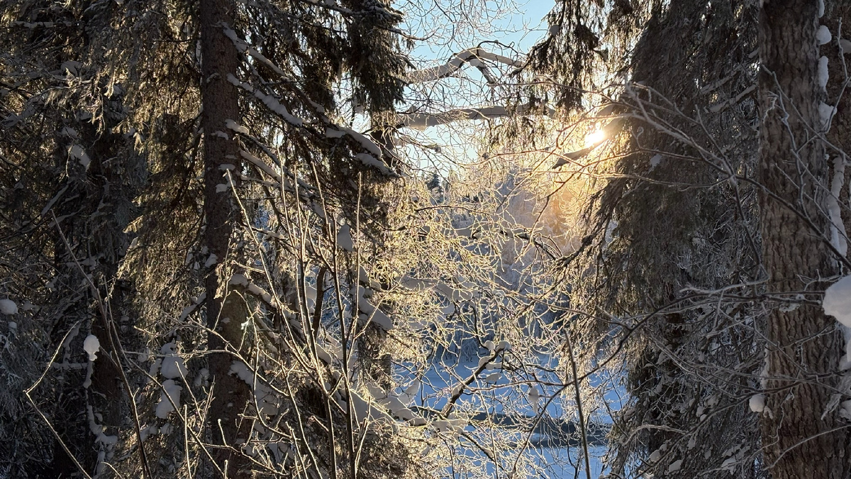 Морозные паутинки, Национальный парк Паанаярви