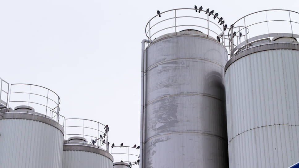 Фото: Егор Снетков / Коммерсантъ