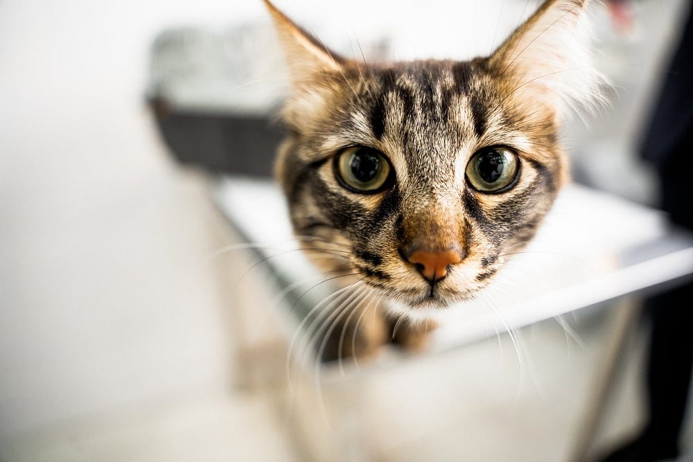 Создать карусель