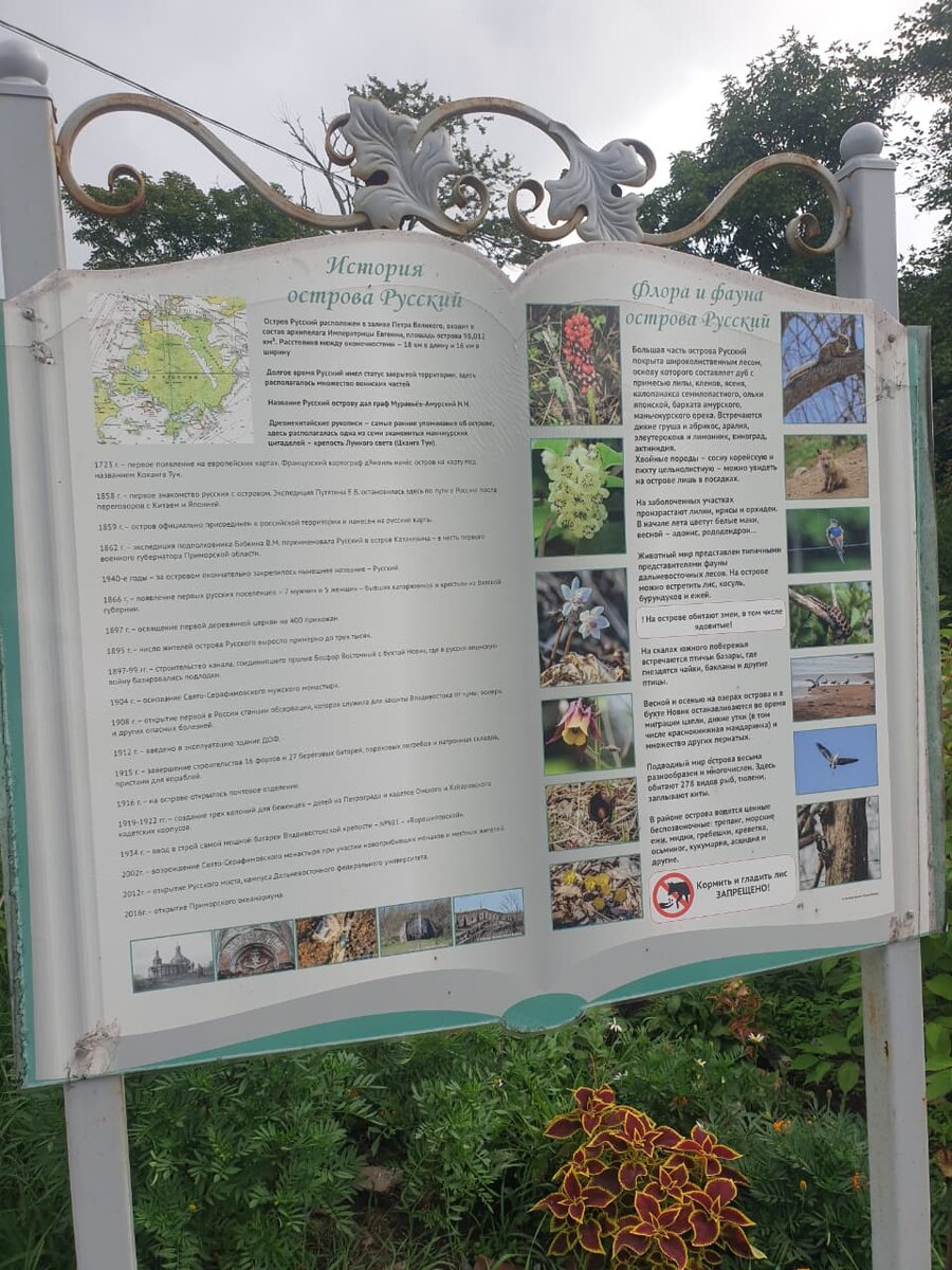 Фото автора.