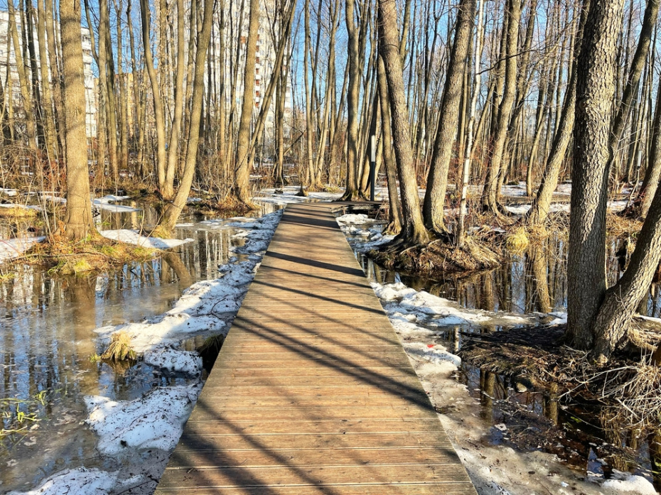    Shutterstock/FOTODOM