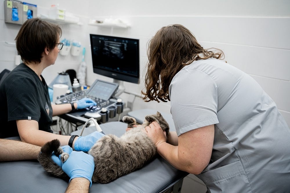 Создать карусель