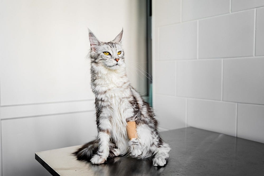 Создать карусель