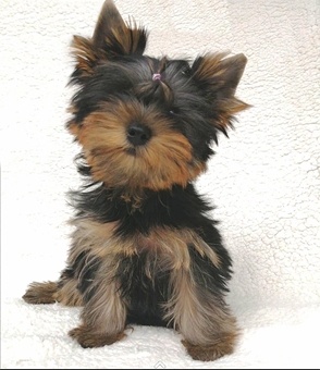 Создать карусель