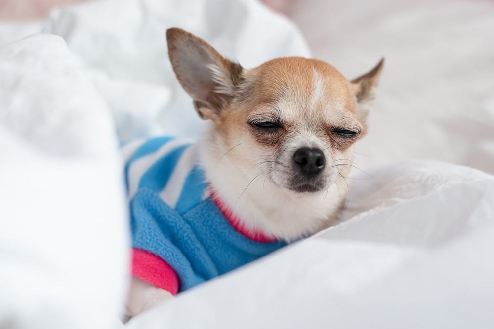 Создать карусель